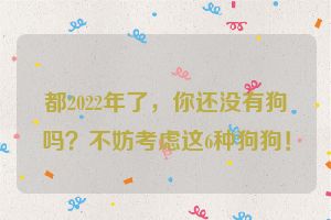 都2022年了,你还没有狗吗?不妨考虑这6种狗狗!