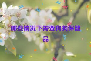 哪些情况下需要狗狗保健品