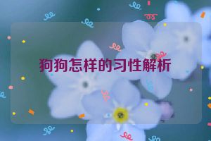 狗狗怎样的习性解析