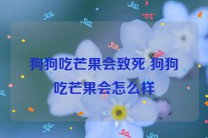 狗狗吃芒果会致死 狗狗吃芒果会怎么样