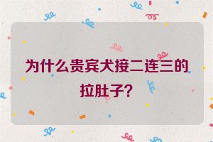 为什么贵宾犬接二连三的拉肚子？