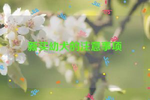 新买幼犬的注意事项