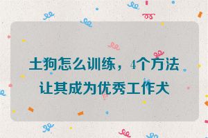 土狗怎么训练，4个方法让其成为优秀工作犬