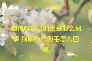 狗狗咬自己的毛是怎么回事 狗咬自己的毛怎么回事