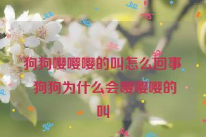 狗狗嘤嘤嘤的叫怎么回事 狗狗为什么会嘤嘤嘤的叫