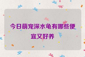 今日萌宠深水龟有哪些便宜又好养