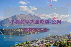 小狗名字大全吃类-公狗狗名字大全