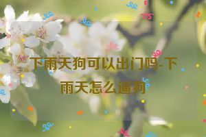 下雨天狗可以出门吗-下雨天怎么遛狗