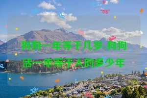 狗狗一年等于几岁-狗狗活一年等于人的多少年