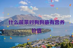 什么蔬菜对狗狗最有营养价值