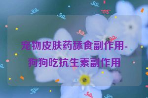 宠物皮肤药舔食副作用-狗狗吃抗生素副作用