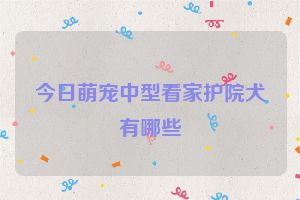 今日萌宠中型看家护院犬有哪些