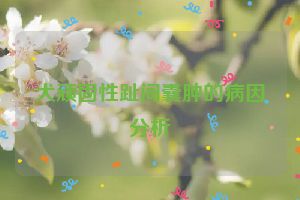 犬顽固性趾间囊肿的病因分析