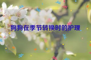 狗狗在季节转换时的护理