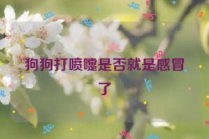 狗狗打喷嚏是否就是感冒了