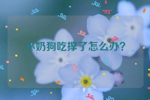 小奶狗吃撑了怎么办？