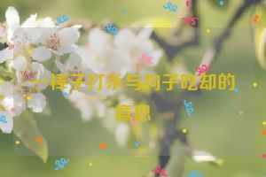 一棒子打杀与狗子吃却的意思