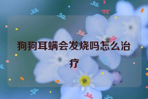 狗狗耳螨会发烧吗怎么治疗