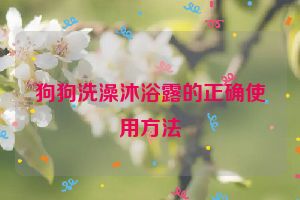 狗狗洗澡沐浴露的正确使用方法