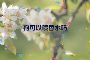 狗可以喷香水吗