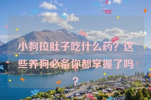 小狗拉肚子吃什么药？这些养狗必备你都掌握了吗？