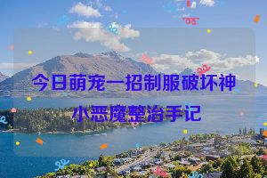 今日萌宠一招制服破坏神 小恶魔整治手记