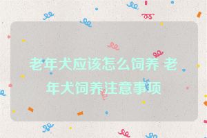 老年犬应该怎么饲养 老年犬饲养注意事项