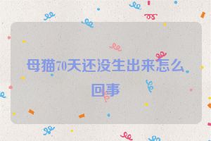 母猫70天还没生出来怎么回事