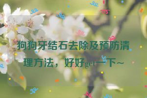 狗狗牙结石去除及预防清理方法,好好get一下~