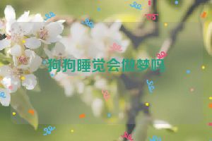 狗狗睡觉会做梦吗