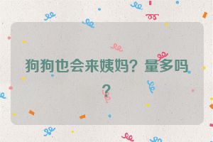 狗狗也会来姨妈？量多吗？