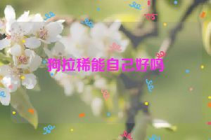 狗拉稀能自己好吗