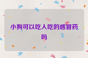 小狗可以吃人吃的感冒药吗