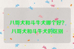 八哥犬和斗牛犬哪个好？八哥犬和斗牛犬的区别