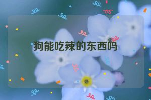 狗能吃辣的东西吗