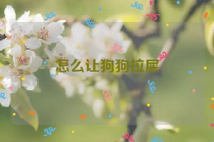 怎么让狗狗拉屎