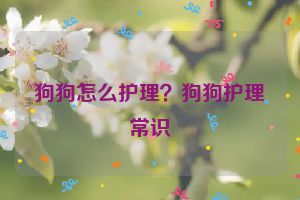 狗狗怎么护理？狗狗护理常识