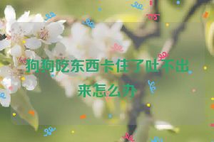 狗狗吃东西卡住了吐不出来怎么办