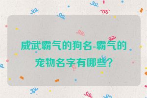 威武霸气的狗名-霸气的宠物名字有哪些？