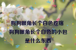 狗狗眼角长个白色疙瘩 狗狗眼角长个白色的小包是什么东西