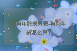 狗狗年龄换算表-狗狗年龄怎么算？