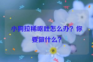 小狗拉稀呕吐怎么办？你要做什么？