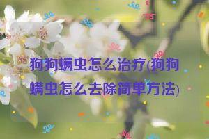 狗狗螨虫怎么治疗(狗狗螨虫怎么去除简单方法)