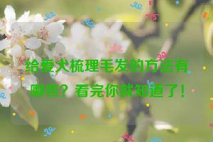 给爱犬梳理毛发的方法有哪些？看完你就知道了！