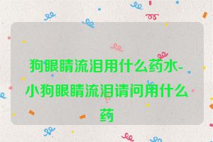 狗眼睛流泪用什么药水-小狗眼睛流泪请问用什么药
