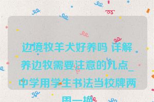 边境牧羊犬好养吗 详解养边牧需要注意的几点_中学用学生书法当校牌两周一换