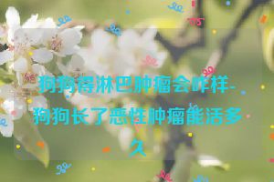 狗狗得淋巴肿瘤会咋样-狗狗长了恶性肿瘤能活多久