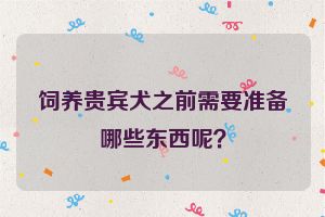 饲养贵宾犬之前需要准备哪些东西呢？