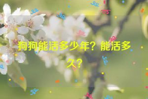 狗狗能活多少年？能活多久？