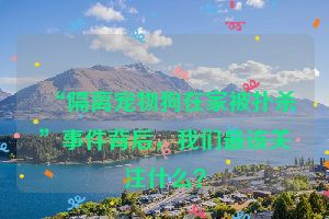 “隔离宠物狗在家被扑杀”事件背后，我们最该关注什么？